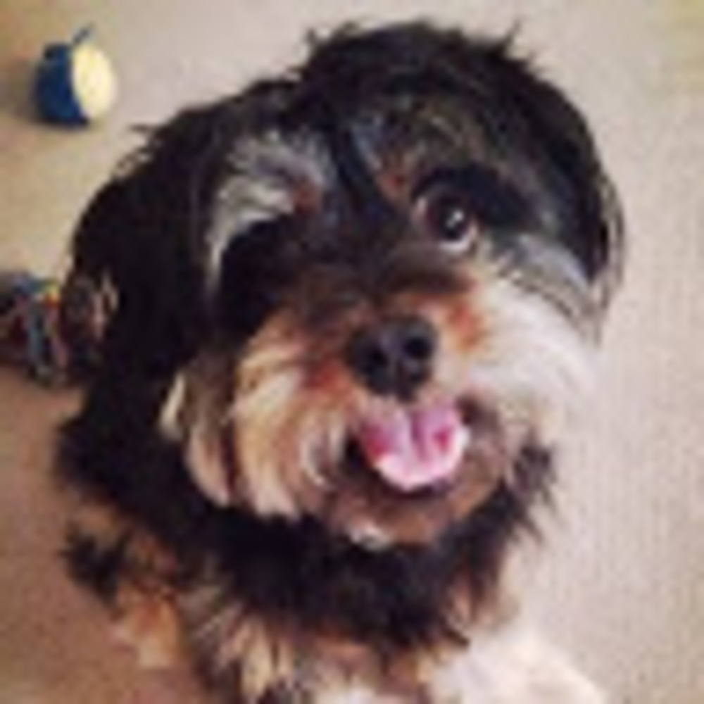 Meet your Posher, Tiffany